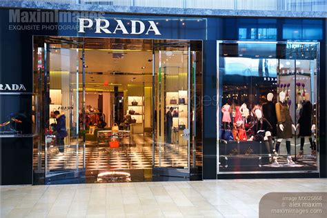 prada showroom in chandigarh|baccd prada toronto.